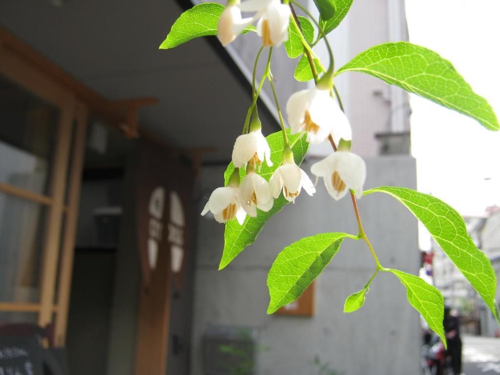 旅馆 百万遍穿行旅舍 *